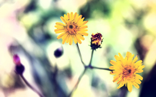 1755080 (a): :2560x1600